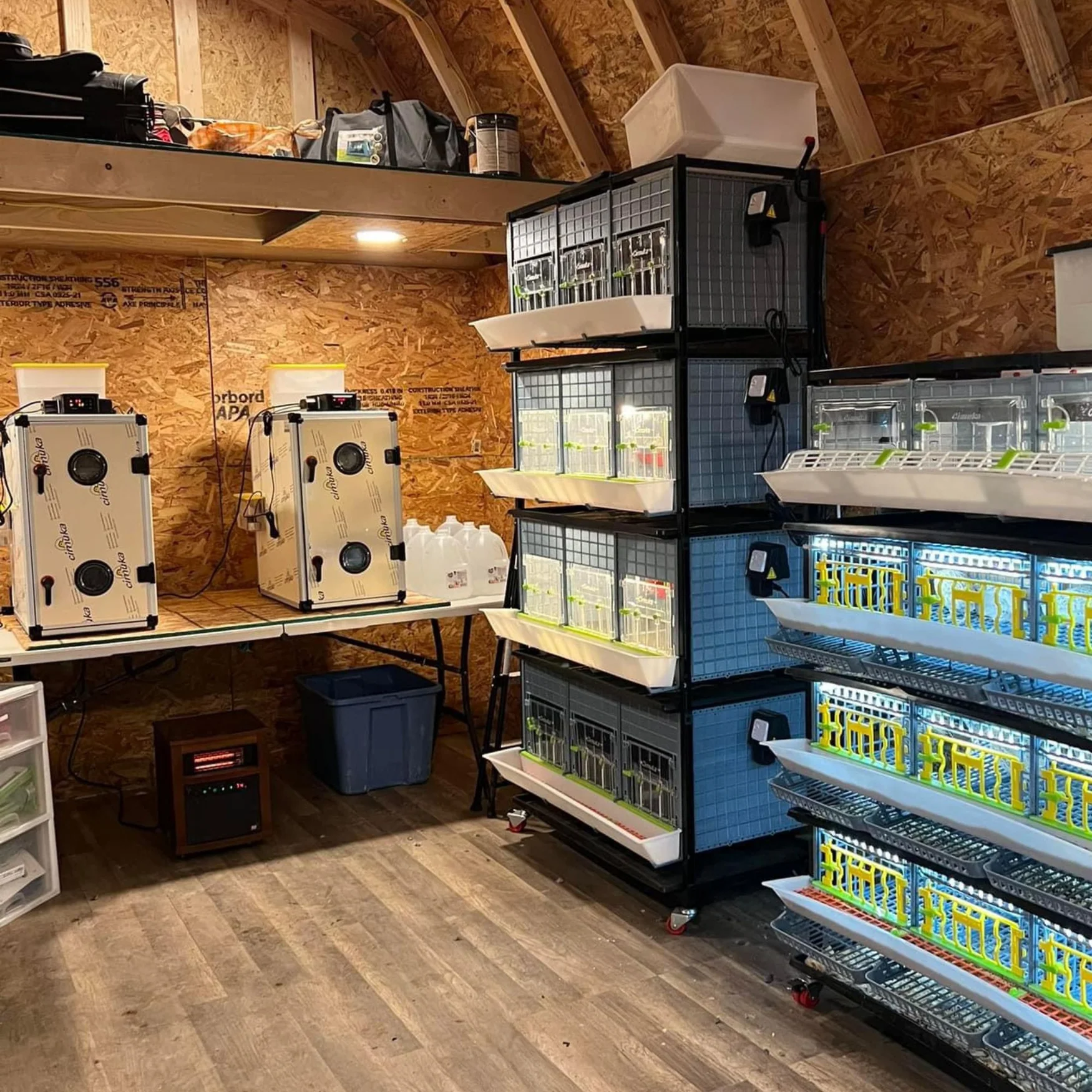 Master Your Poultry Journey