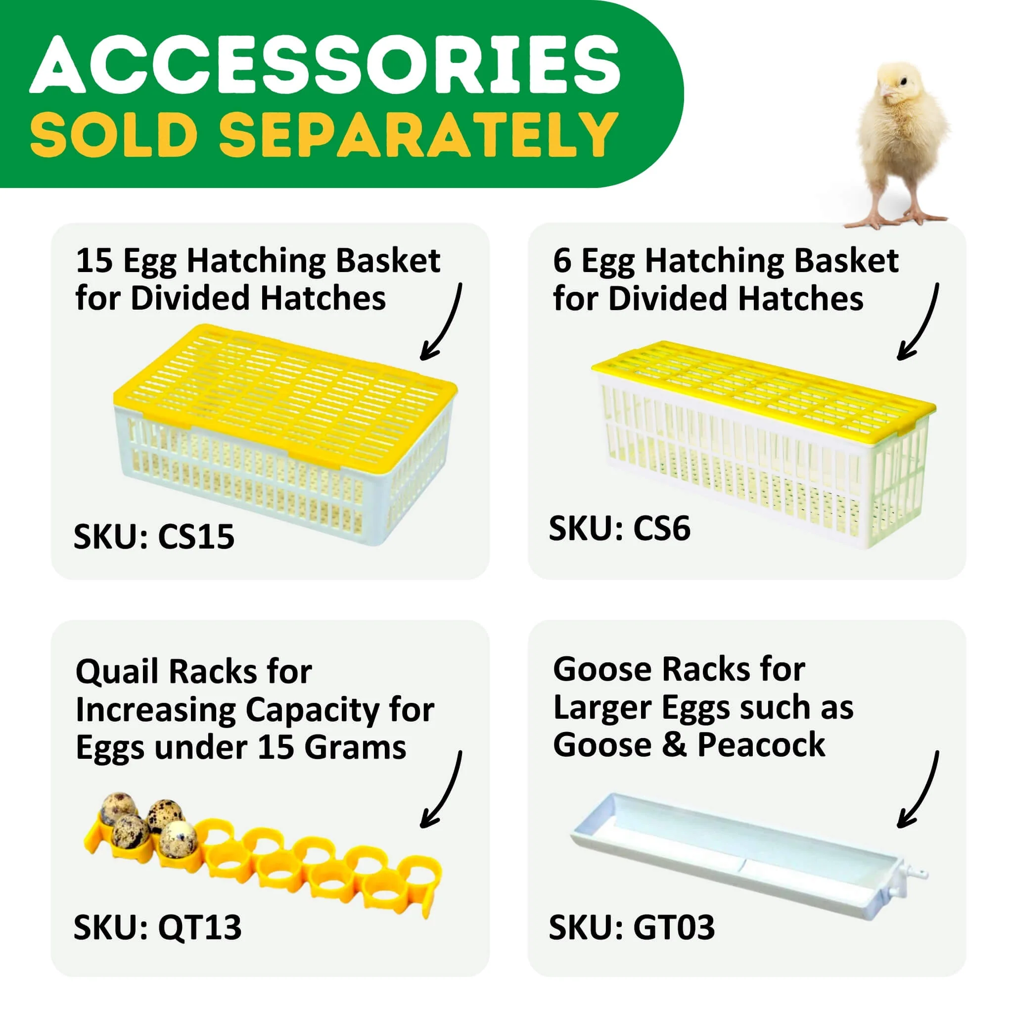 Thumbnail 12